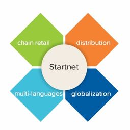 廣州市啟網軟件 專業軟件技術服務，賦能企業數字化轉型